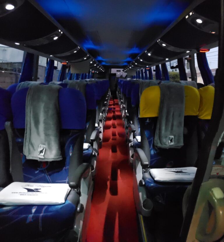 MARCOPOLO PARADISO G7 1200 SCANIA K310 ANO 2012 - 5