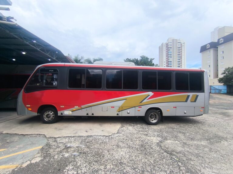 COMIL PIÁ MERCEDES Lo 916 ANO 2013 - 3