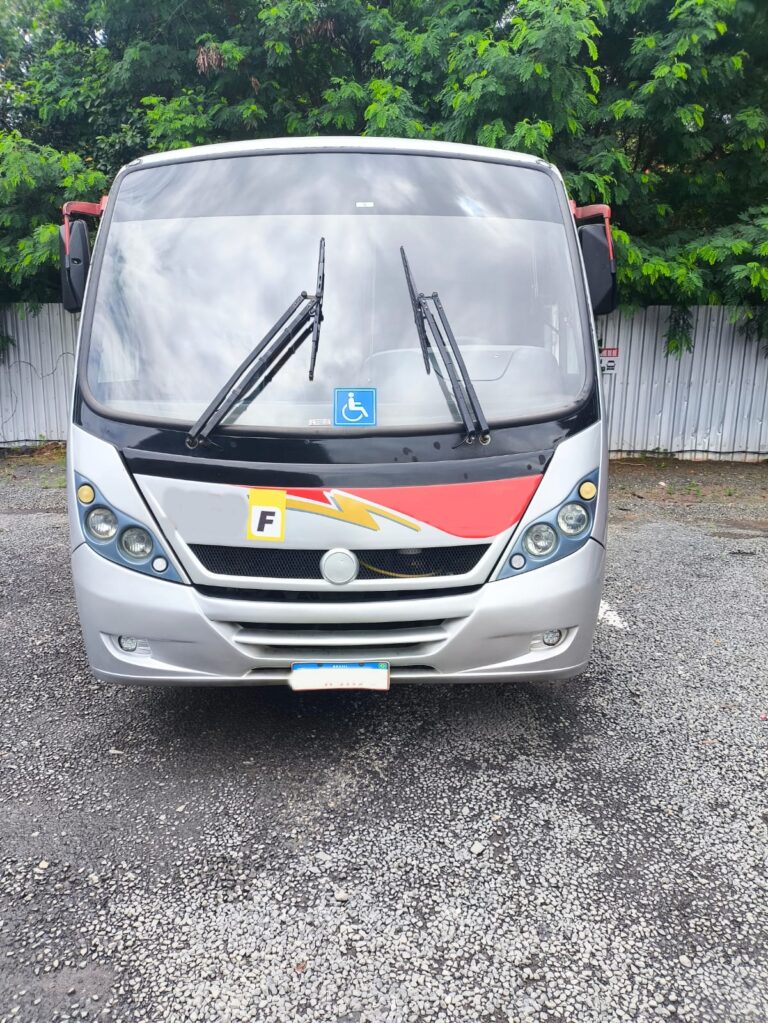 NEOBUS THUNDER VOLKS 9.160 ANO 2013 - 1