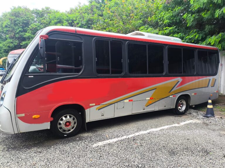 NEOBUS THUNDER VOLKS 9.160 ANO 2013 - 3