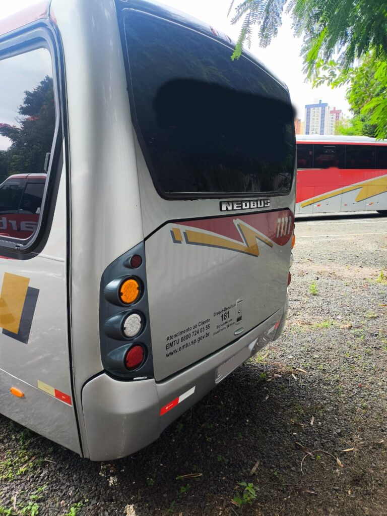 NEOBUS THUNDER VOLKS 9.160 ANO 2013 - 4
